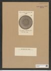 Coscinodiscus asteroides Truan et. Witt. (de-Toni-Nr.: Genus 202, Species 4986) Zeichnungen Sammlung Grunow Nr. 8601 (NHMW-BOT-W0378260)